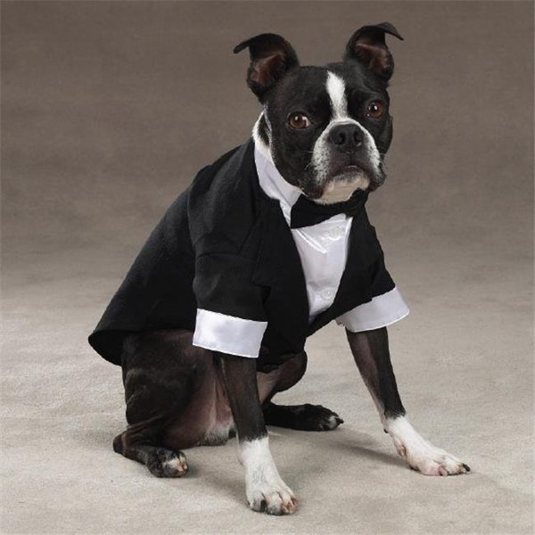 Pet Pals Pet Pals ZM1010 08 ESC Yappily Ever After Groom Tuxedo XXsm ZM1010 08